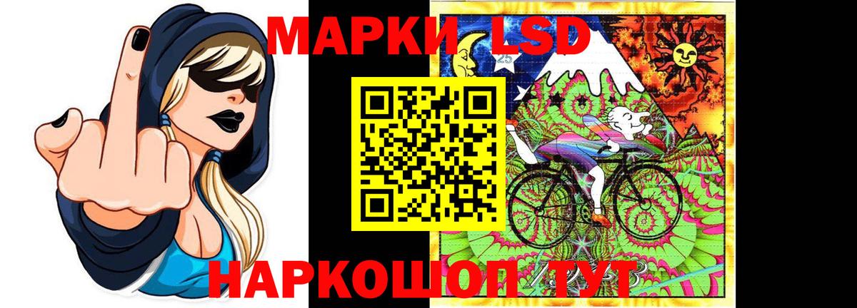 МЕФ Сыктывкар