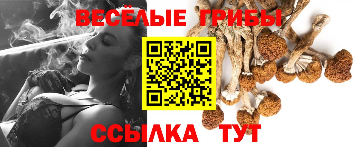 Галлюциногенные грибы прущие грибы  Вход с VPN  Сыктывкар  Галлюциногенные грибы Cubensis 