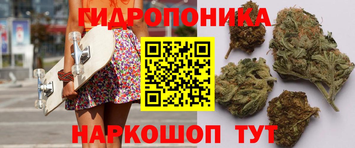 Конопля план Сыктывкар