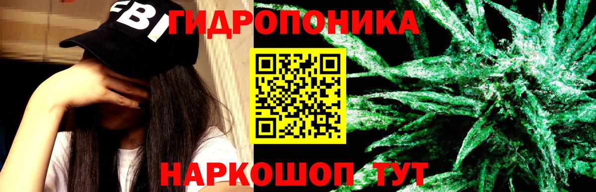 Бошки марихуана OG Kush  Вход с VPN  МАРИХУАНА White Widow  Сыктывкар  Марихуана семена 